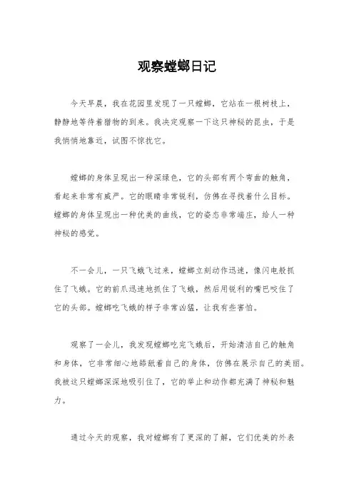 观察螳螂日记