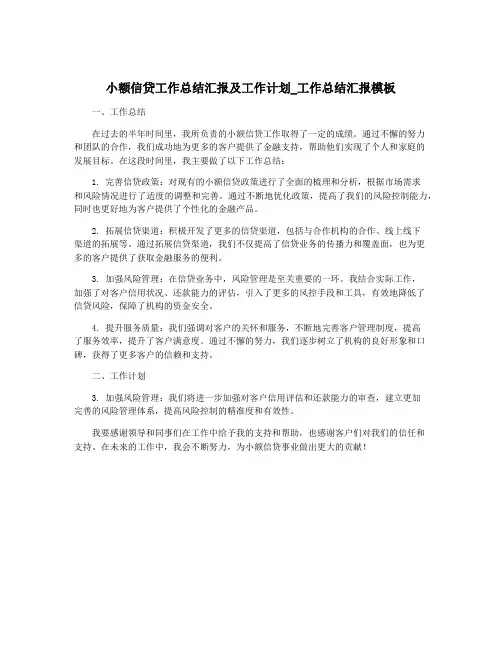 小额信贷工作总结汇报及工作计划_工作总结汇报模板