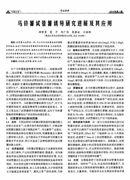 马铃薯试管薯诱导研究进展及其应用