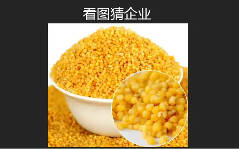 (精品)小米公司企业介绍