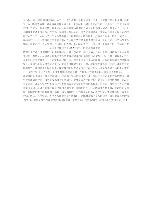主羽加长成长的要诀 高王宏
