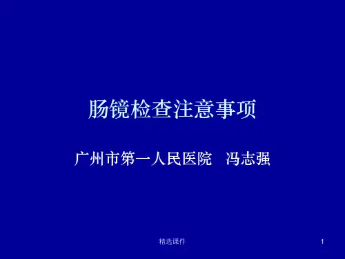 肠镜检查注意事项(整理)ppt课件
