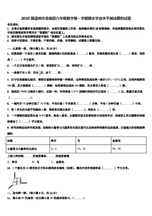 2025届温州市苍南县六年级数学第一学期期末学业水平测试模拟试题含解析