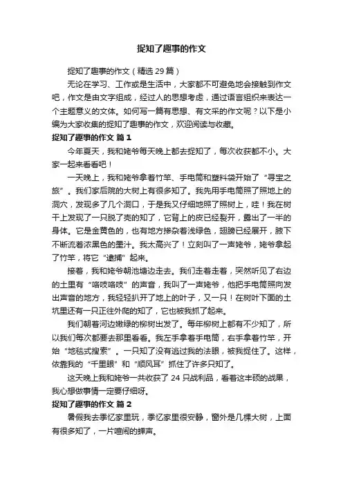 捉知了趣事的作文（精选29篇）