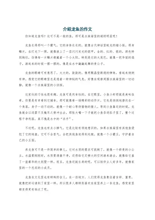 介绍龙鱼的作文