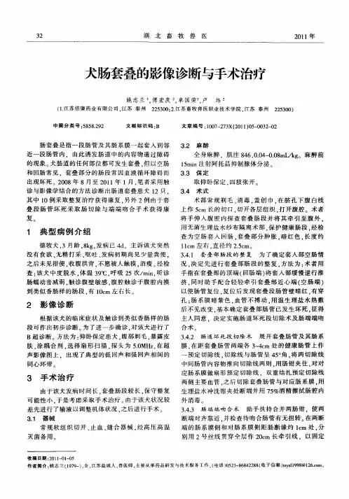 犬肠套叠的影像诊断与手术治疗