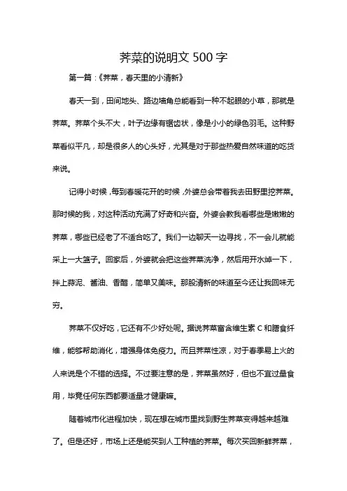 荠菜的说明文500字