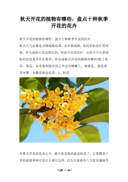秋天开花的植物有哪些，盘点十种秋季开花的花卉