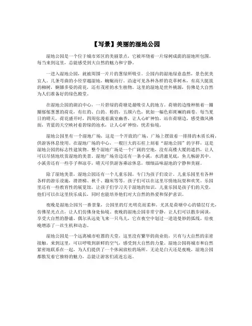 【写景】美丽的湿地公园