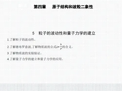 人教版物理高中选择性必修3第四章5 粒子的波动性和量子力学的建立PPT教学课件