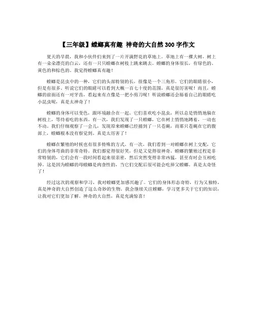 【三年级】螳螂真有趣 神奇的大自然300字作文