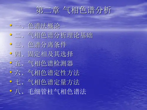 仪器分析-气相色谱分析