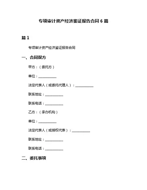专项审计资产经济鉴证报告合同6篇