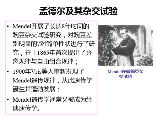 第三章1孟德尔遗传规律及其扩展