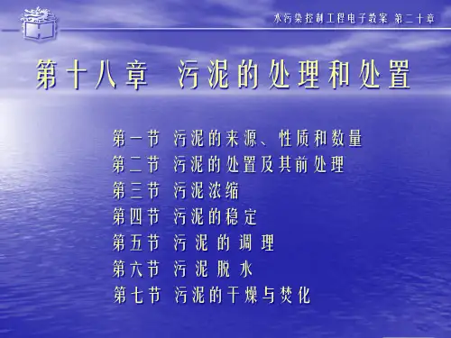 污水的好养生物处理法—活性污泥法精品PPT课件
