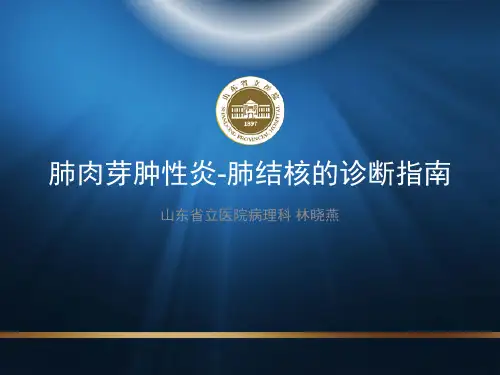 肺肉芽肿性炎和结核诊断指南-lxy2018.1.15