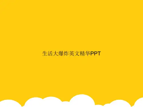 【实用】生活大爆炸英文精华PPTPPT资料