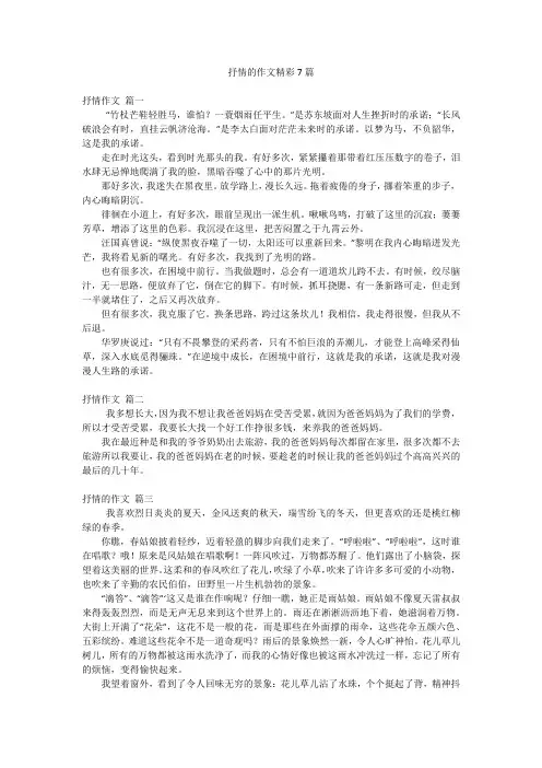 抒情的作文精彩7篇