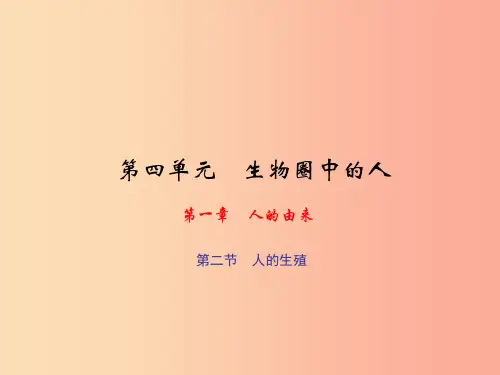 七年级生物下册第四单元第一章第二节人的生殖习题课件 新人教版PPT