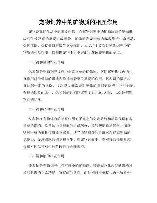 宠物饲养中的矿物质的相互作用