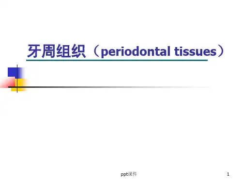 口腔组织病理学--牙周组织  ppt课件