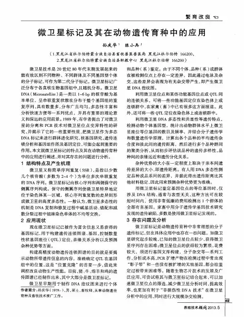 微卫星标记及其在动物遗传育种中的应用