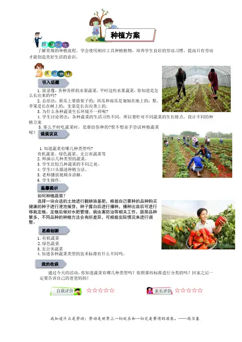 劳动教育校本课程-四年级下册-种植方案(教案)