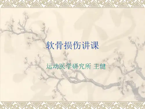 软骨损伤讲课参考PPT