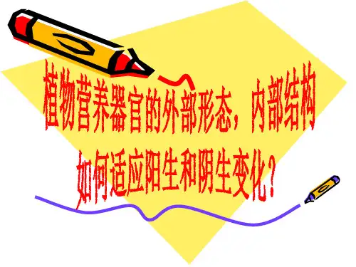 植物营养器官的外部形态,内部结构如何适应阳生和阴生变化？ppt课件