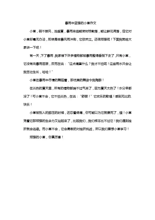 暴雨中坚强的小草作文