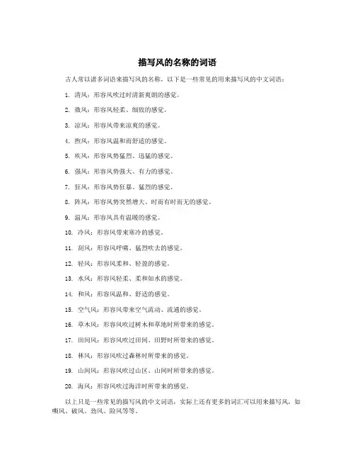 描写风的名称的词语