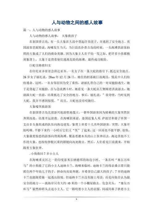 人与动物之间的感人故事