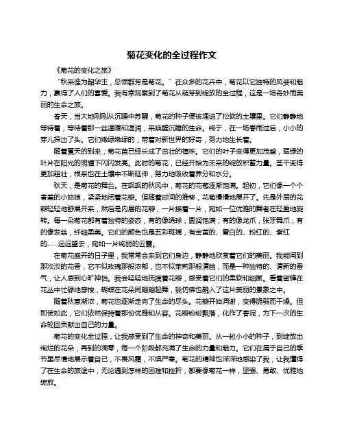 菊花变化的全过程作文