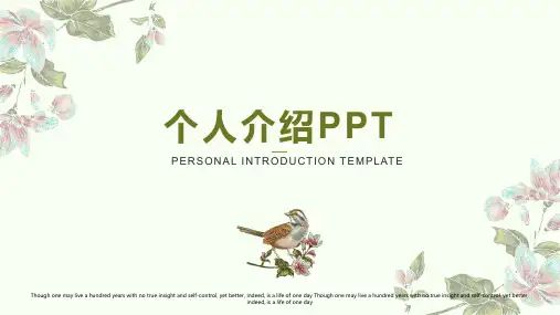 个人简历PPT模版