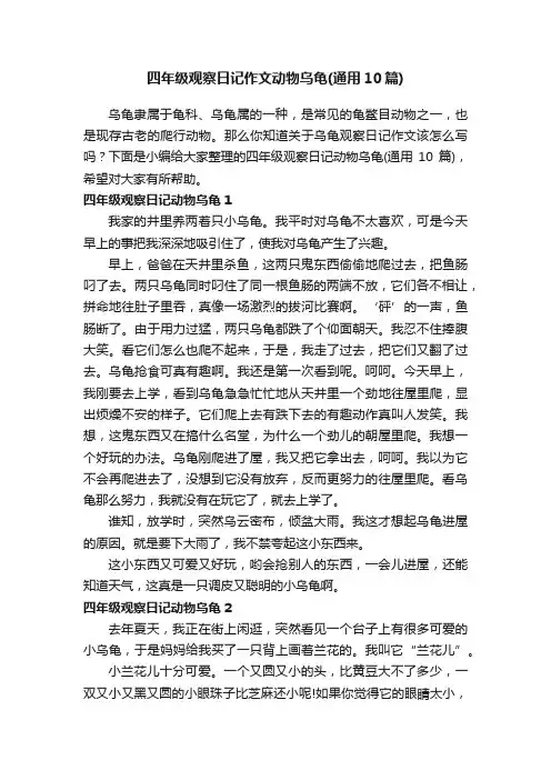 四年级观察日记作文动物乌龟（通用10篇）