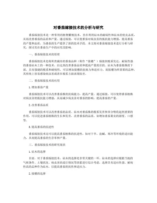 对番茄嫁接技术的分析与研究