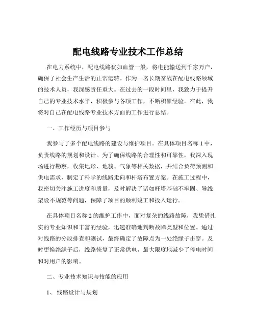 配电线路专业技术工作总结