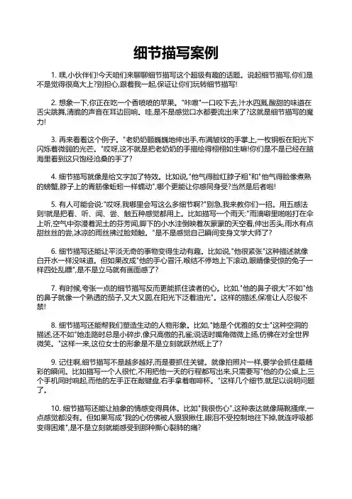 细节描写案例