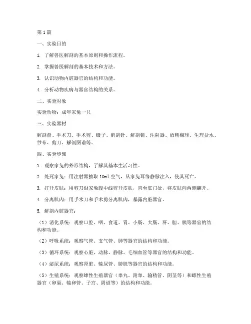 兽医解剖动物实验报告(3篇)