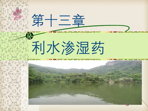 中药学课件利水渗湿药
