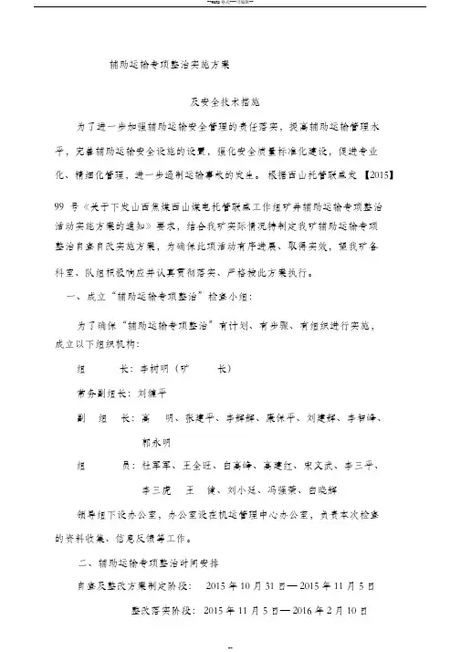 辅助运输专项整治的实施方案