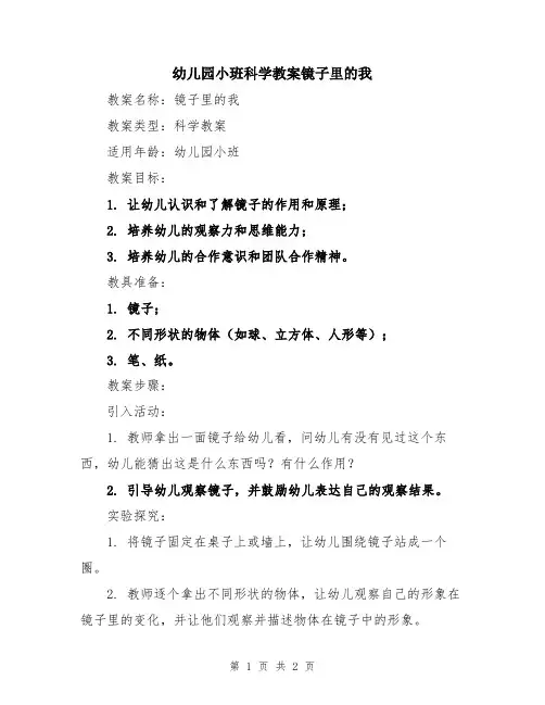 幼儿园小班科学教案镜子里的我