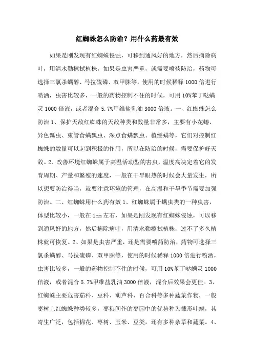 红蜘蛛怎么防治？用什么药最有效