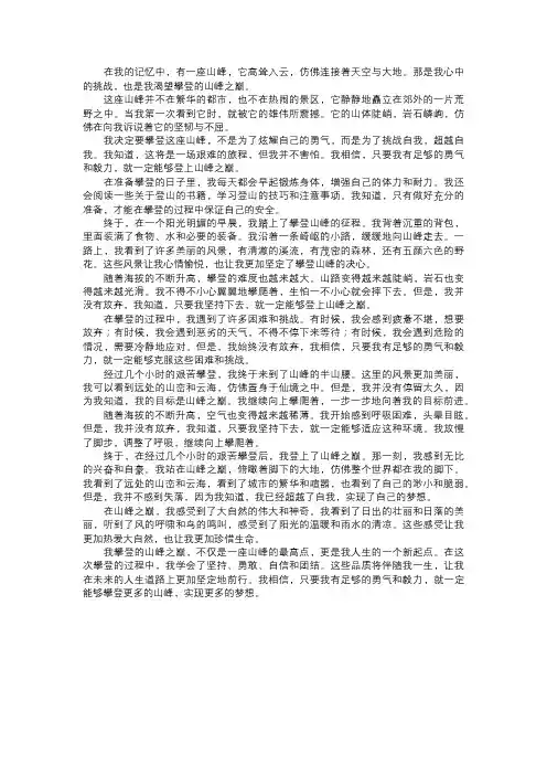 我攀登的山峰之巅