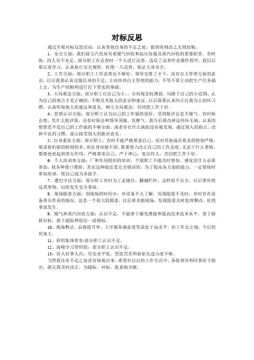 对标反思3