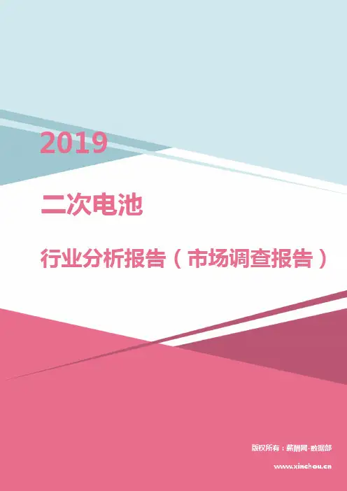 2019年二次电池行业分析报告(市场调查报告)