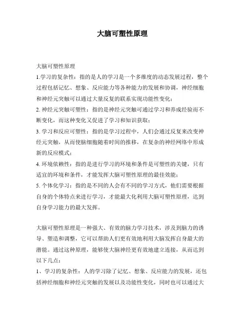 大脑可塑性原理
