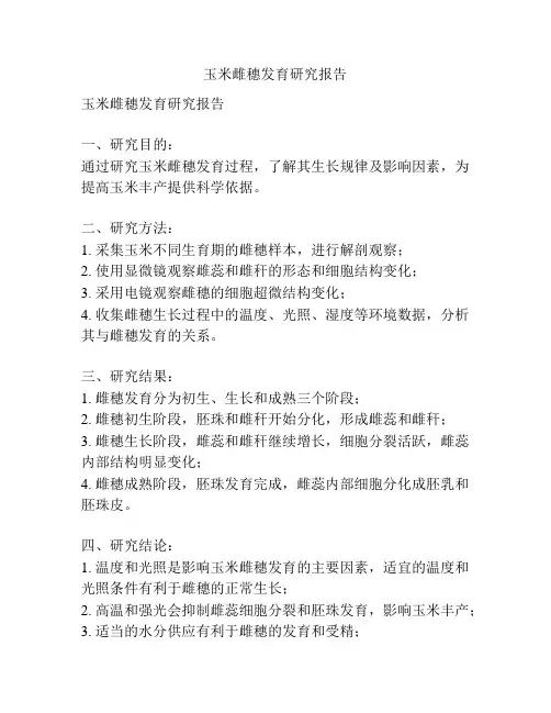 玉米雌穗发育研究报告