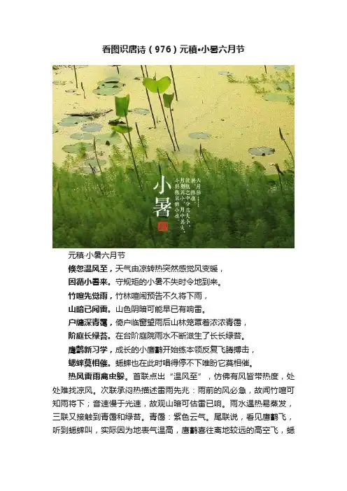 看图识唐诗（976）元稹·小暑六月节