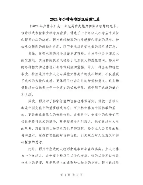 2024年少林寺电影观后感汇总